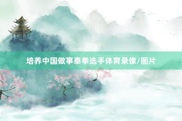 培养中国做事泰拳选手体育录像/图片