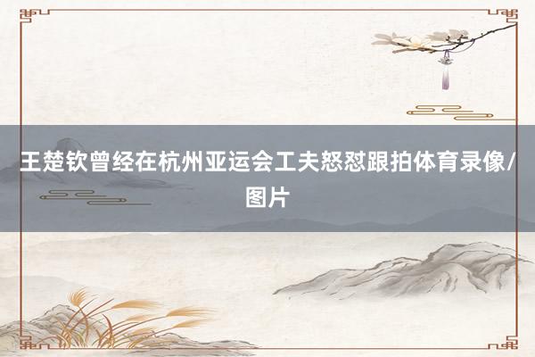 王楚钦曾经在杭州亚运会工夫怒怼跟拍体育录像/图片