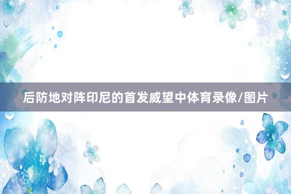后防地对阵印尼的首发威望中体育录像/图片