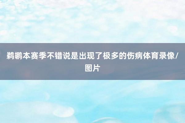 鹈鹕本赛季不错说是出现了极多的伤病体育录像/图片