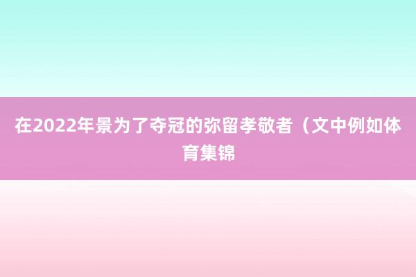在2022年景为了夺冠的弥留孝敬者（文中例如体育集锦