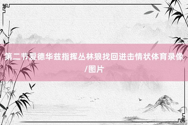 第二节爱德华兹指挥丛林狼找回进击情状体育录像/图片