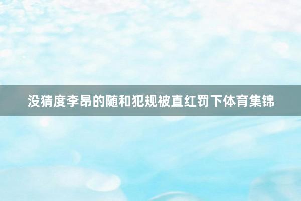 没猜度李昂的随和犯规被直红罚下体育集锦