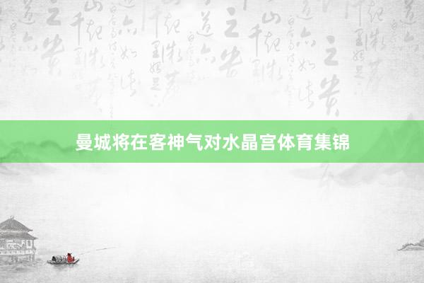 曼城将在客神气对水晶宫体育集锦