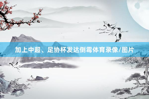加上中超、足协杯发达倒霉体育录像/图片