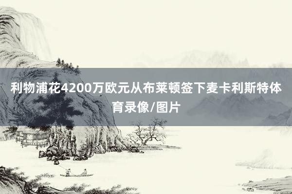 利物浦花4200万欧元从布莱顿签下麦卡利斯特体育录像/图片