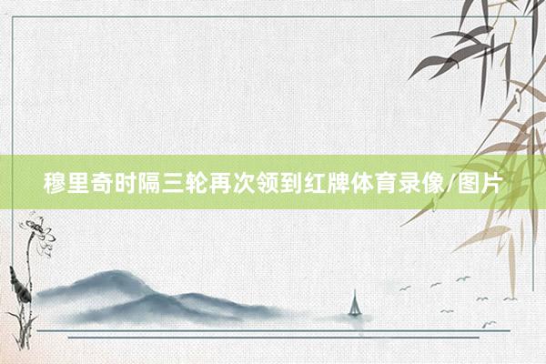 穆里奇时隔三轮再次领到红牌体育录像/图片