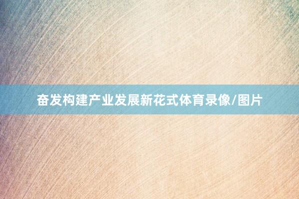 奋发构建产业发展新花式体育录像/图片