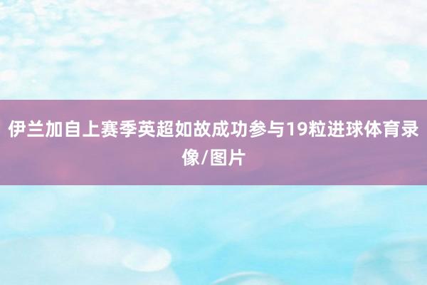 伊兰加自上赛季英超如故成功参与19粒进球体育录像/图片