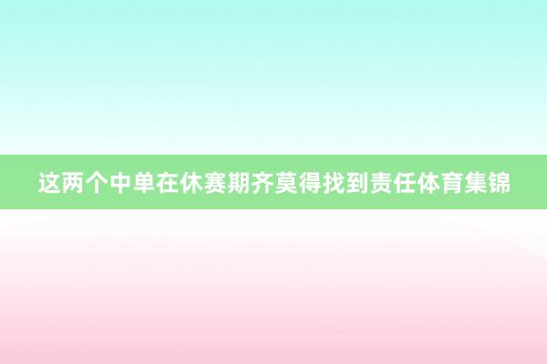 这两个中单在休赛期齐莫得找到责任体育集锦