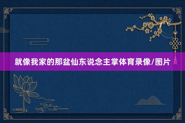 就像我家的那盆仙东说念主掌体育录像/图片