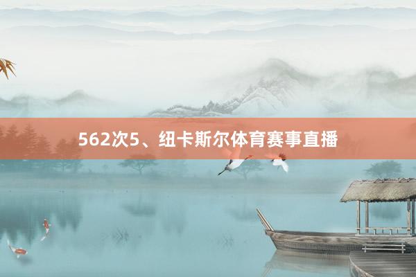562次5、纽卡斯尔体育赛事直播