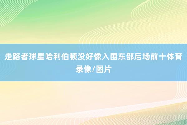 走路者球星哈利伯顿没好像入围东部后场前十体育录像/图片