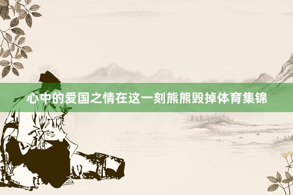 心中的爱国之情在这一刻熊熊毁掉体育集锦