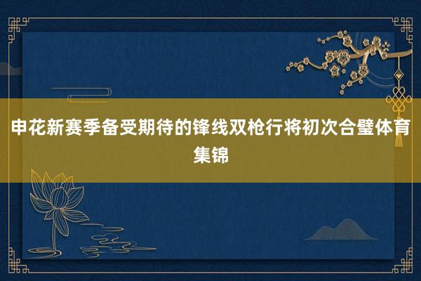 申花新赛季备受期待的锋线双枪行将初次合璧体育集锦