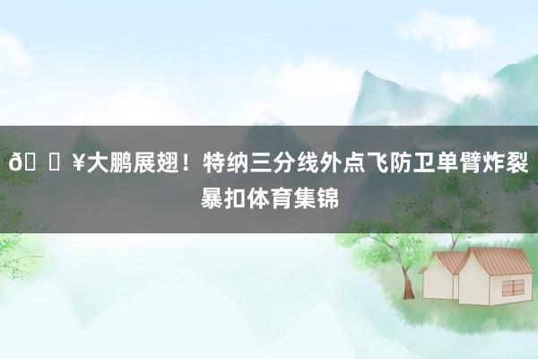 💥大鹏展翅！特纳三分线外点飞防卫单臂炸裂暴扣体育集锦