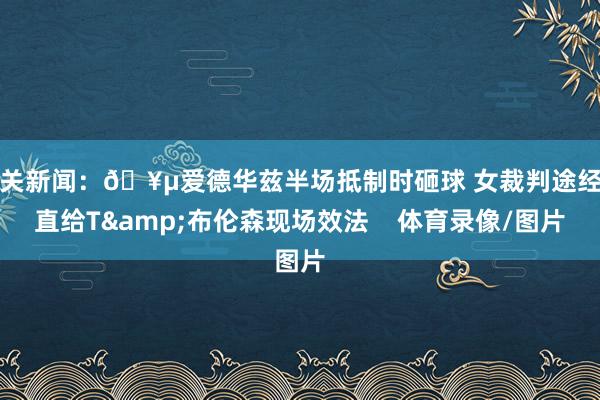 有关新闻：🥵爱德华兹半场抵制时砸球 女裁判途经径直给T&布伦森现场效法    体育录像/图片