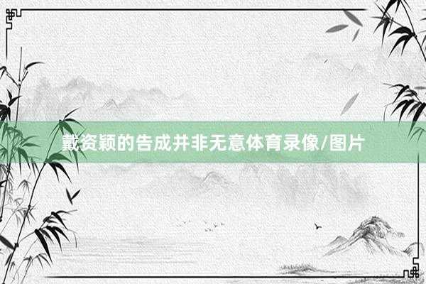 戴资颖的告成并非无意体育录像/图片