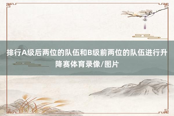 排行A级后两位的队伍和B级前两位的队伍进行升降赛体育录像/图片