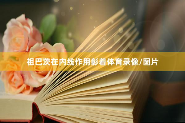 祖巴茨在内线作用彰着体育录像/图片