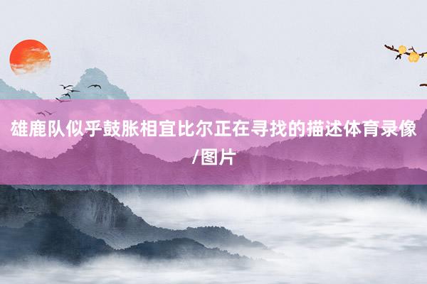 雄鹿队似乎鼓胀相宜比尔正在寻找的描述体育录像/图片