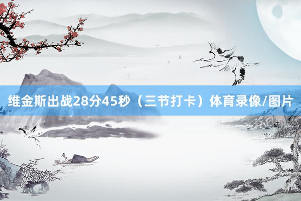 维金斯出战28分45秒（三节打卡）体育录像/图片