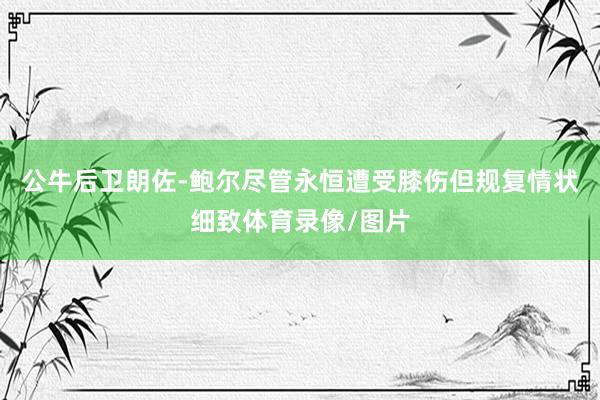 公牛后卫朗佐-鲍尔尽管永恒遭受膝伤但规复情状细致体育录像/图片