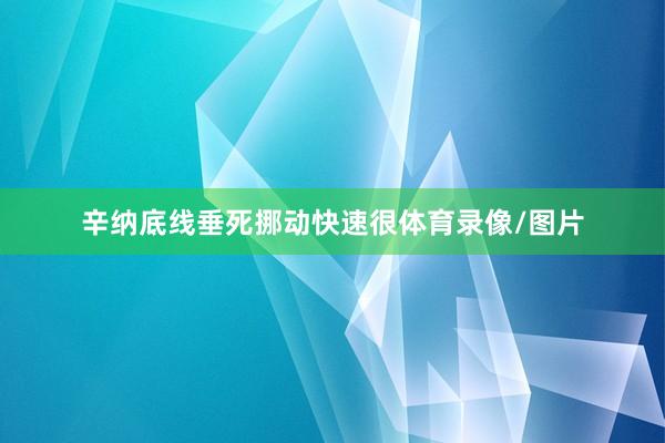 辛纳底线垂死挪动快速很体育录像/图片