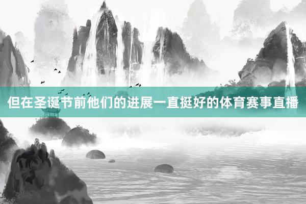但在圣诞节前他们的进展一直挺好的体育赛事直播