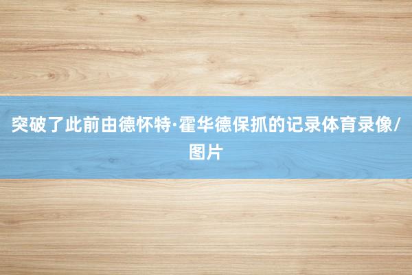 突破了此前由德怀特·霍华德保抓的记录体育录像/图片