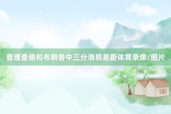 普理查德和布朗各中三分消弱差距体育录像/图片