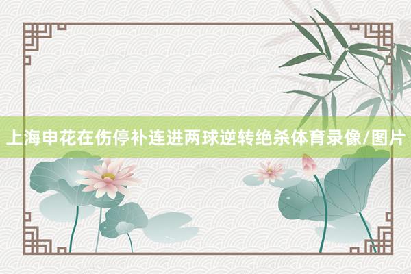上海申花在伤停补连进两球逆转绝杀体育录像/图片