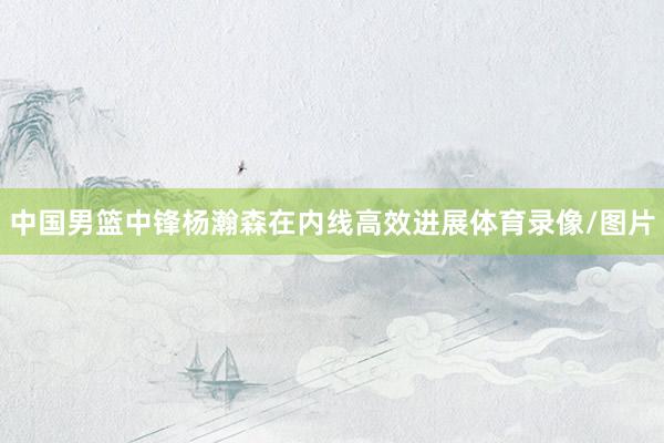 中国男篮中锋杨瀚森在内线高效进展体育录像/图片
