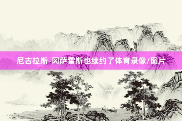 尼古拉斯-冈萨雷斯也续约了体育录像/图片