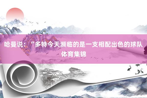 哈曼说：“多特今天濒临的是一支相配出色的球队体育集锦