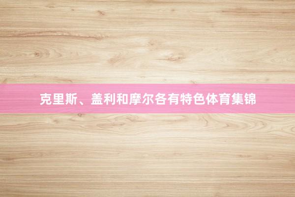 克里斯、盖利和摩尔各有特色体育集锦