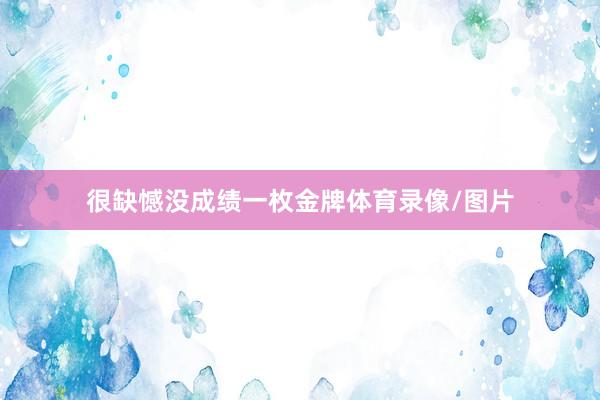 很缺憾没成绩一枚金牌体育录像/图片