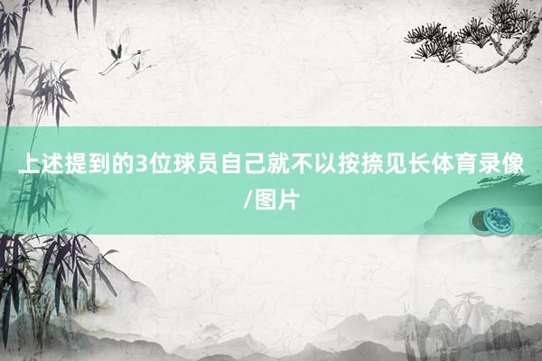 上述提到的3位球员自己就不以按捺见长体育录像/图片