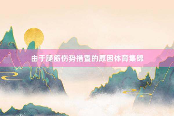 由于腿筋伤势措置的原因体育集锦