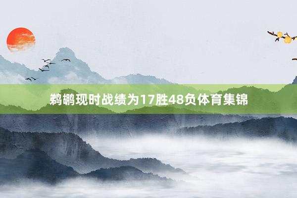 鹈鹕现时战绩为17胜48负体育集锦