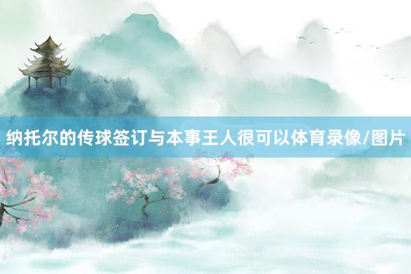 纳托尔的传球签订与本事王人很可以体育录像/图片