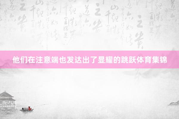 他们在注意端也发达出了显耀的跳跃体育集锦