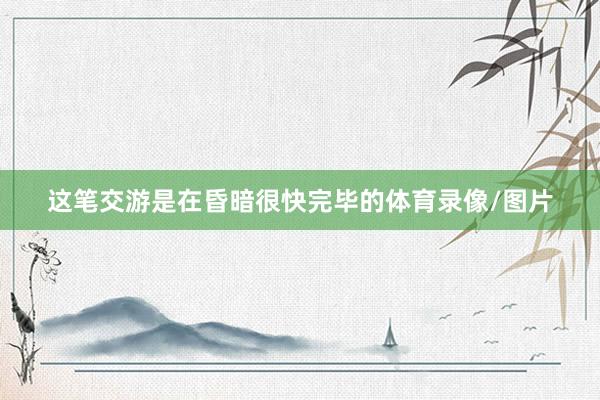 这笔交游是在昏暗很快完毕的体育录像/图片
