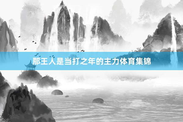那王人是当打之年的主力体育集锦