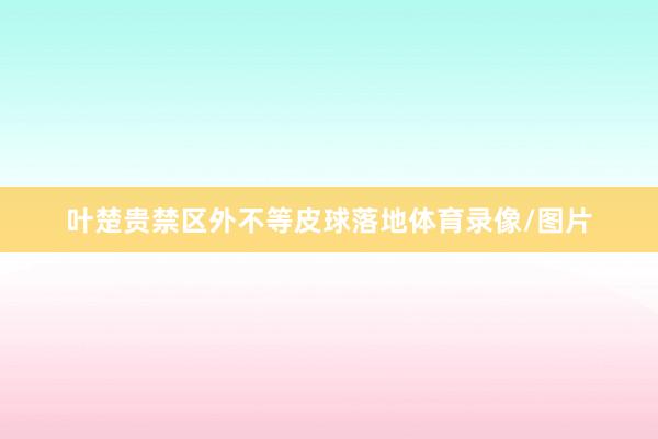 叶楚贵禁区外不等皮球落地体育录像/图片