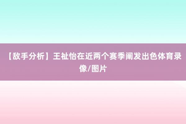 【敌手分析】王祉怡在近两个赛季阐发出色体育录像/图片