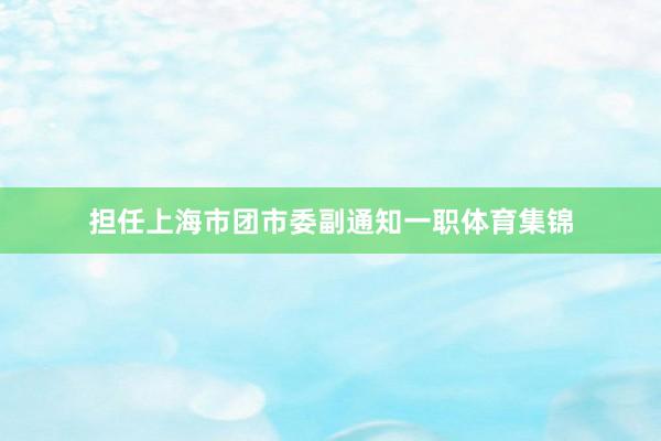 担任上海市团市委副通知一职体育集锦