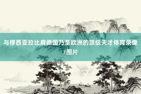 与穆西亚拉比肩德国乃至欧洲的顶级天才体育录像/图片