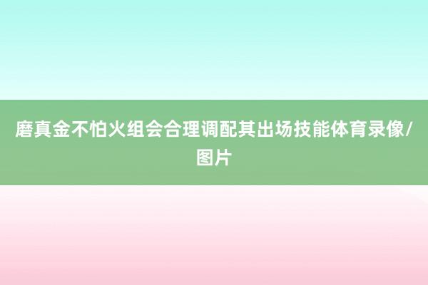 磨真金不怕火组会合理调配其出场技能体育录像/图片