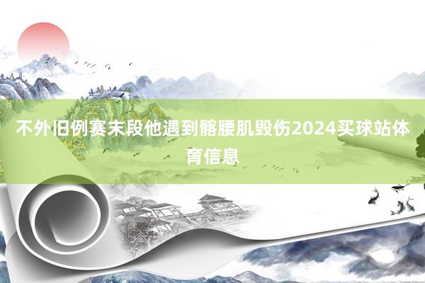 不外旧例赛末段他遇到髂腰肌毁伤2024买球站体育信息